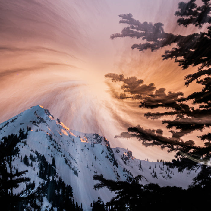 Exploring Creativity & Abstraction with Intentional Camera Movement (ICM)