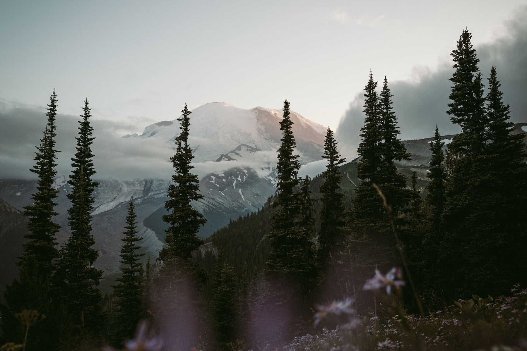 WA Wild 2022 Photo Contest June 20th - August 19th