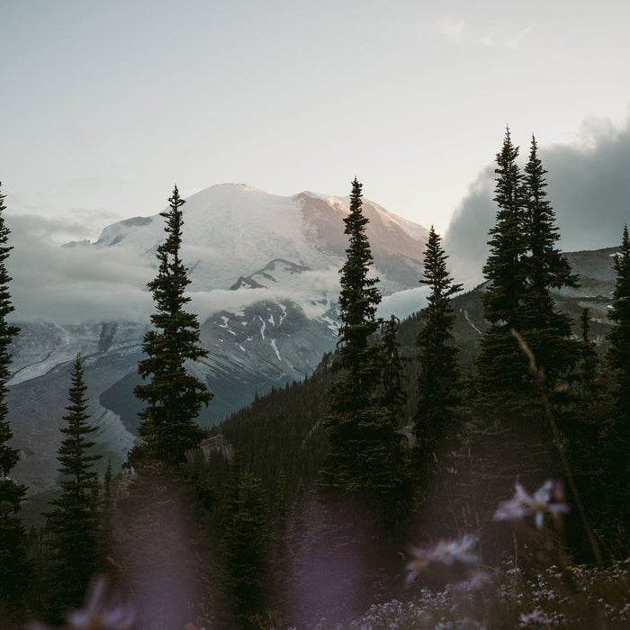 WA Wild 2022 Photo Contest June 20th - August 19th