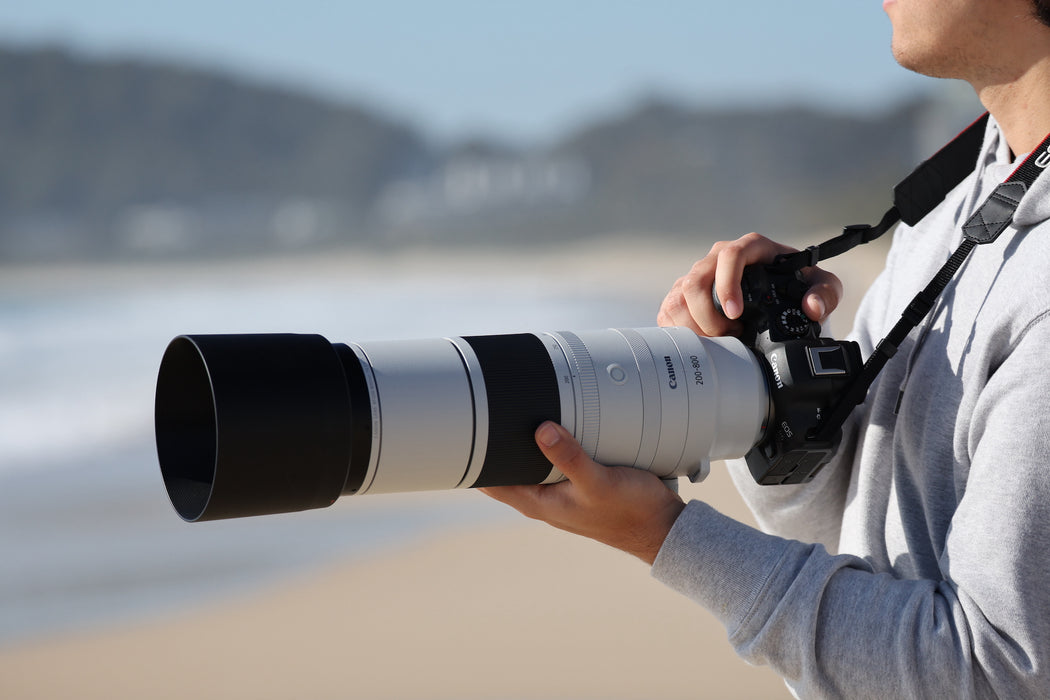 Canon RF 200-800mm f/6.3-9 IS USM Lens