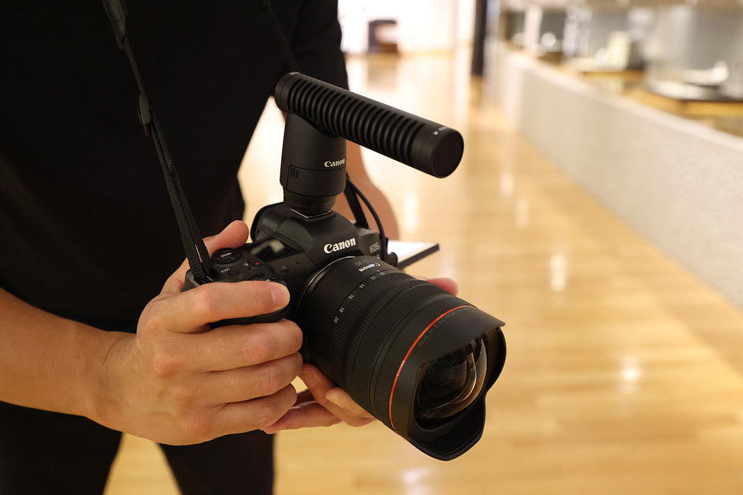 Canon RF 10-20mm f/4 L IS STM Lens