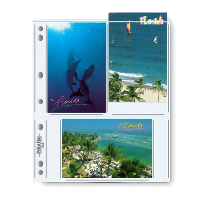 Print File 46-6P* Archival Photo Pages with 3 Pockets (Holds 4x6" Prints) - 25 Pack
