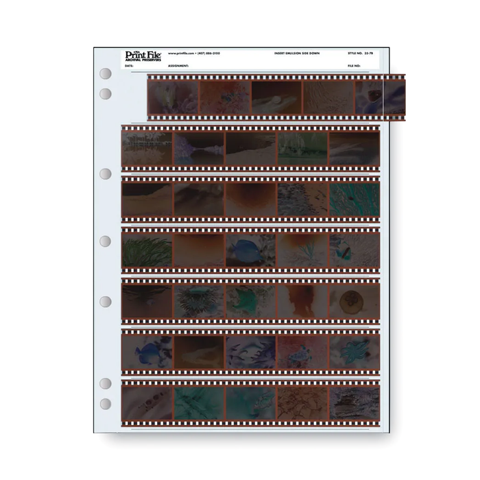 Print File 35-7B Archival Negative Pages for 35mm Film (Holds 7 Strips) - 25 Pack