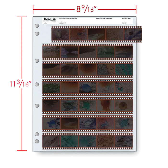 Print File 35-7B Archival Negative Pages for 35mm Film (Holds 7 Strips) - 25 Pack