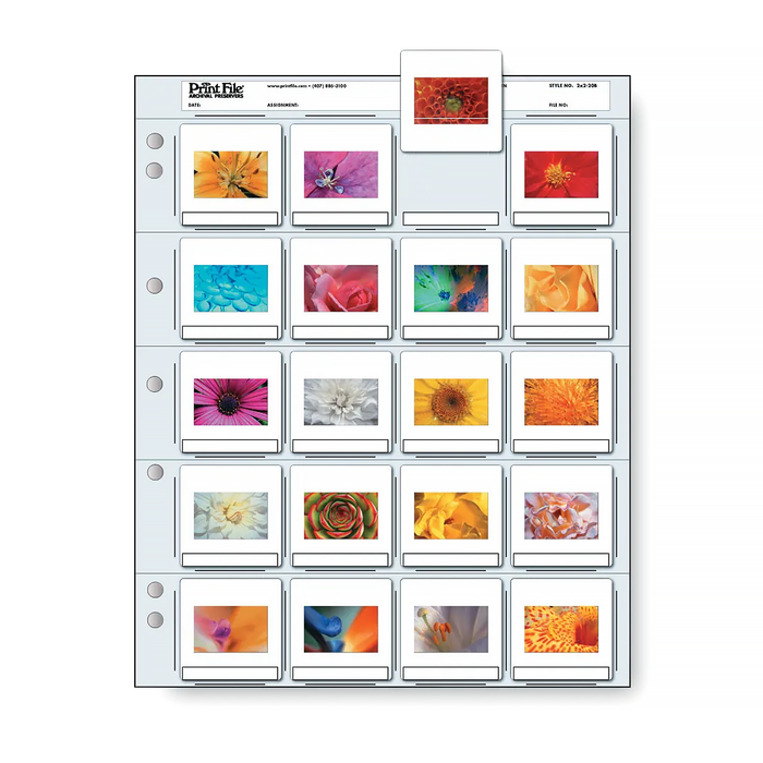 Print File 2×2-20B Archival Slide Pages for 35mm Mounted Transparencies (Holds 20 Individual Frames) - 100 Pack