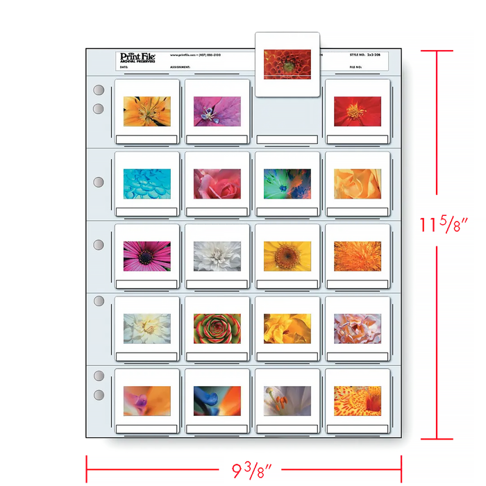 Print File 2×2-20B Archival Slide Pages for 35mm Mounted Transparencies (Holds 20 Individual Frames) - 100 Pack