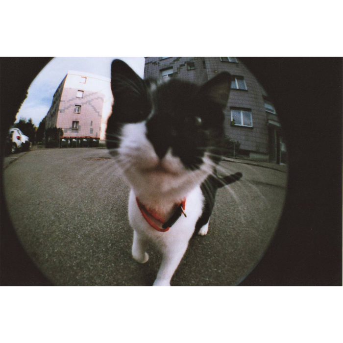 Lomography Fisheye No. 2 35mm Film Camera - Black & Silver