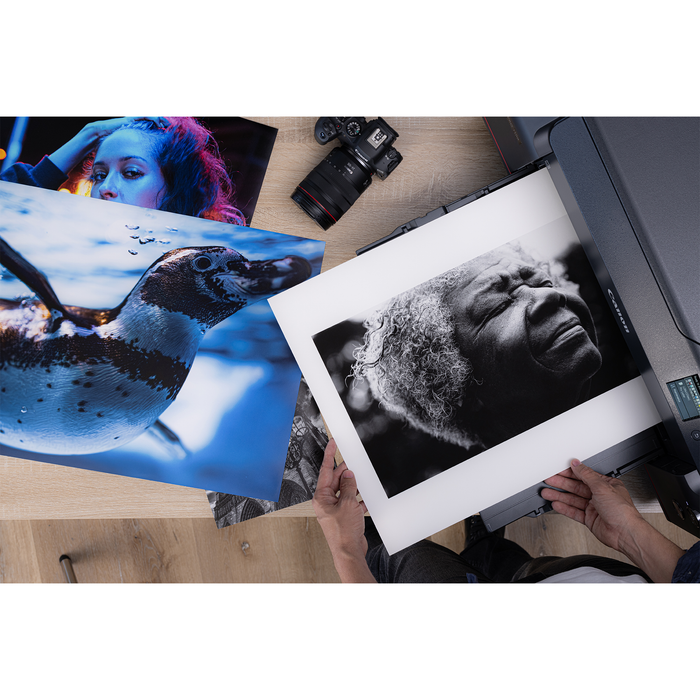 Canon imagePROGRAF PRO-1100 17" Professional Inkjet Photo Printer