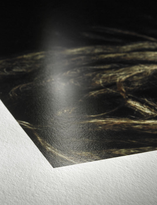Hahnemühle Photo Rag Baryta Glossy FineArt Photo Cards in Tin Box, 315, A5 5.8" x 8.3" - 30 Cards