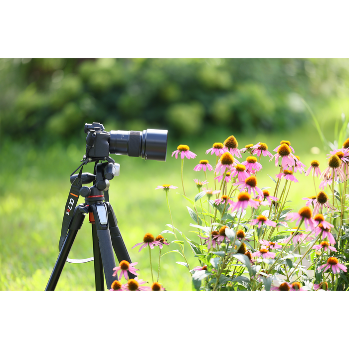 Tamron 90mm f/2.8 Di III VXD Macro Lens - Nikon Z Mount