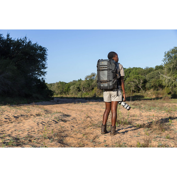 Lowepro Pro Trekker 650 AW II 43L Backpack - Gray