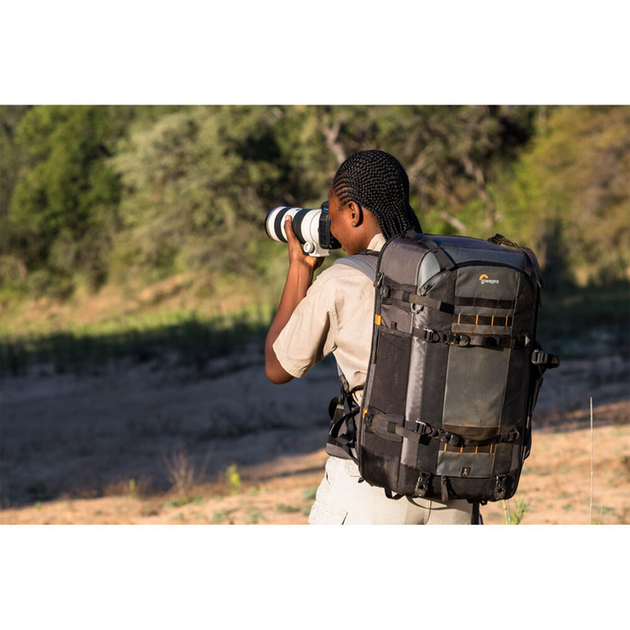 Lowepro Pro Trekker 650 AW II 43L Backpack - Gray