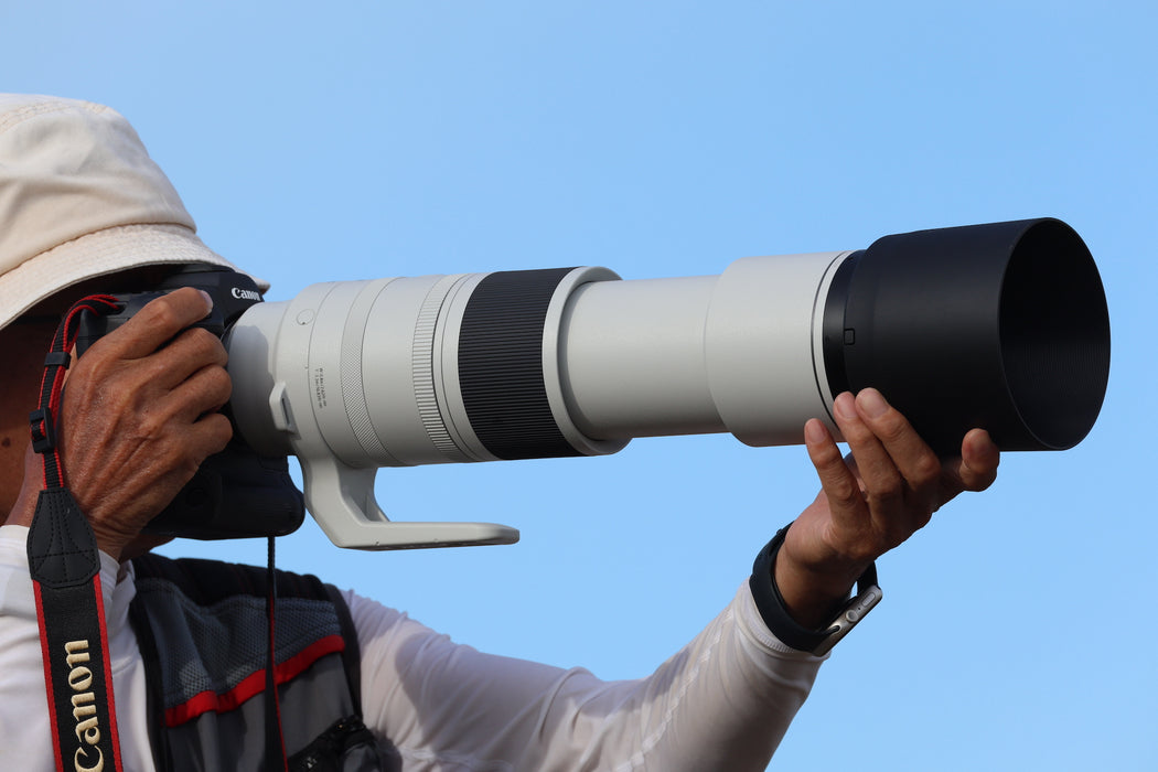 Canon RF 200-800mm f/6.3-9 IS USM Lens