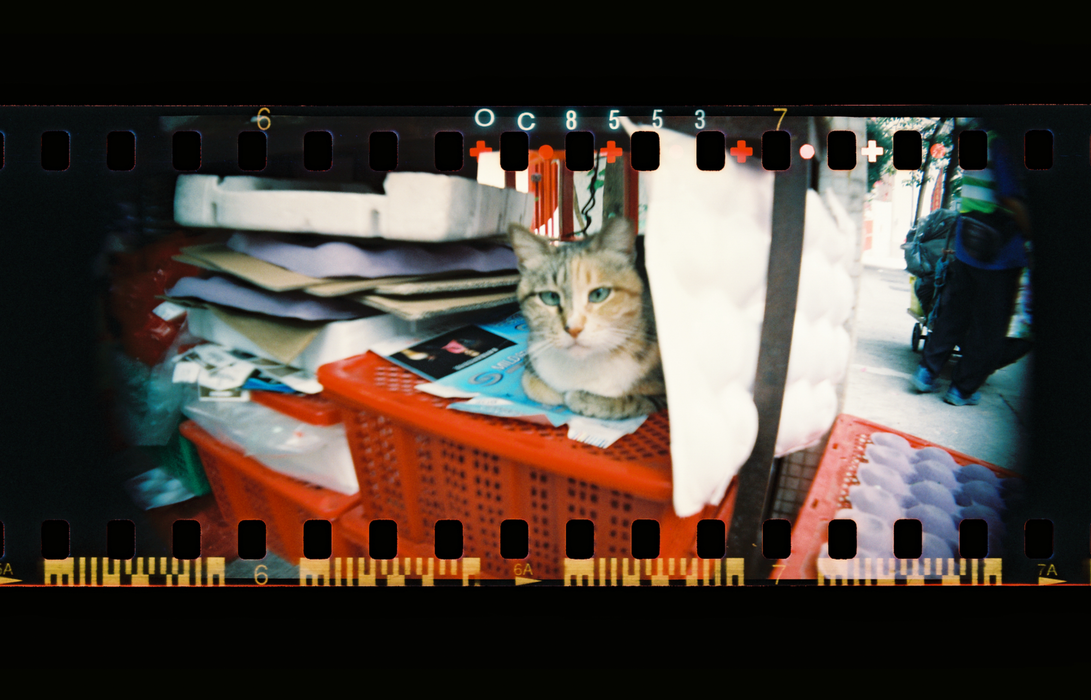 Lomography Sprocket Rocket 35mm Panoramic Film Camera - Peacock