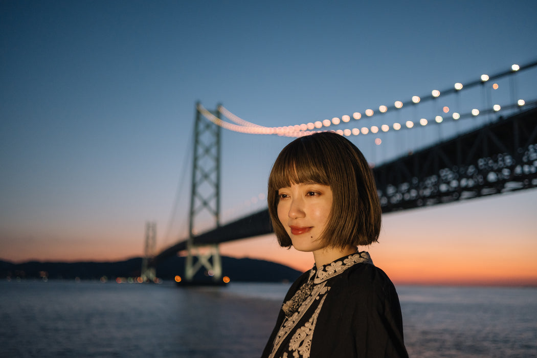 Nikon Z DX 24mm f/1.7 Lens
