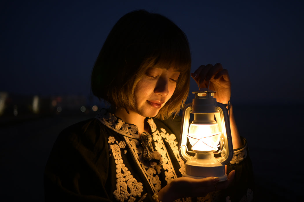 Nikon Z DX 24mm f/1.7 Lens