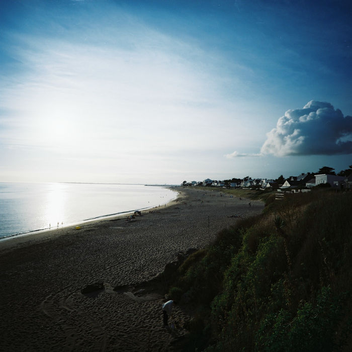 Lomography 100 Color Negative - 120mm Film, Single Roll