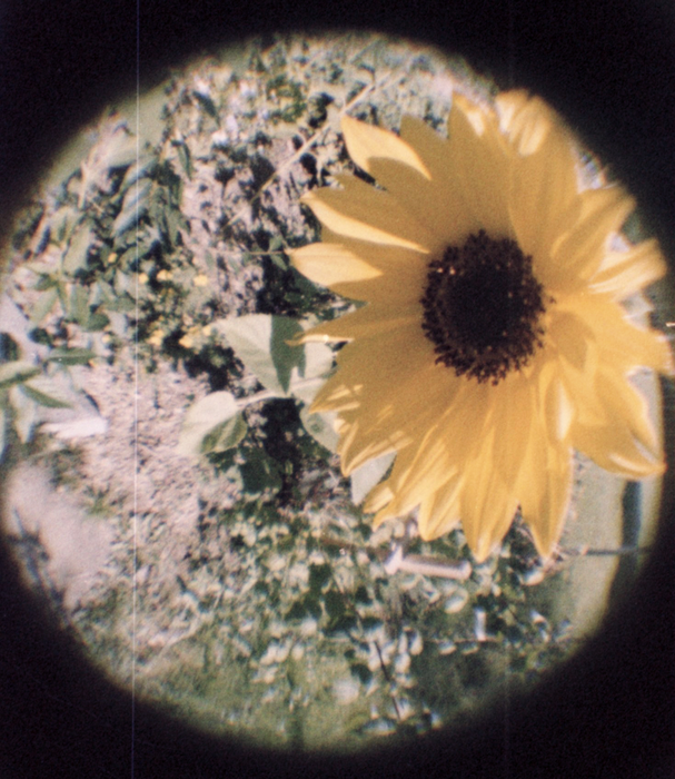 Lomography Fisheye Baby 110 Film Camera - Gold Edition