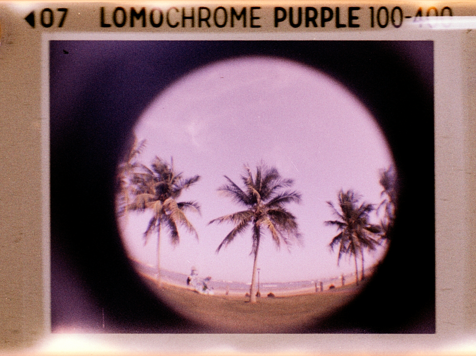Lomography Fisheye Baby 110 Film Camera - Gold Edition