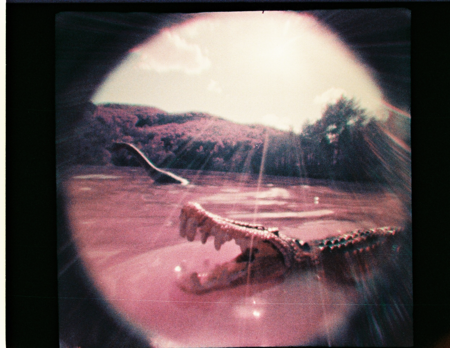 Lomography Fisheye Baby 110 Film Camera - Gold Edition