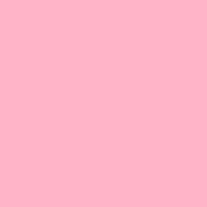 LEE Filters 110 Middle Rose Lighting Gel Filter Sheet, 21"x 24"