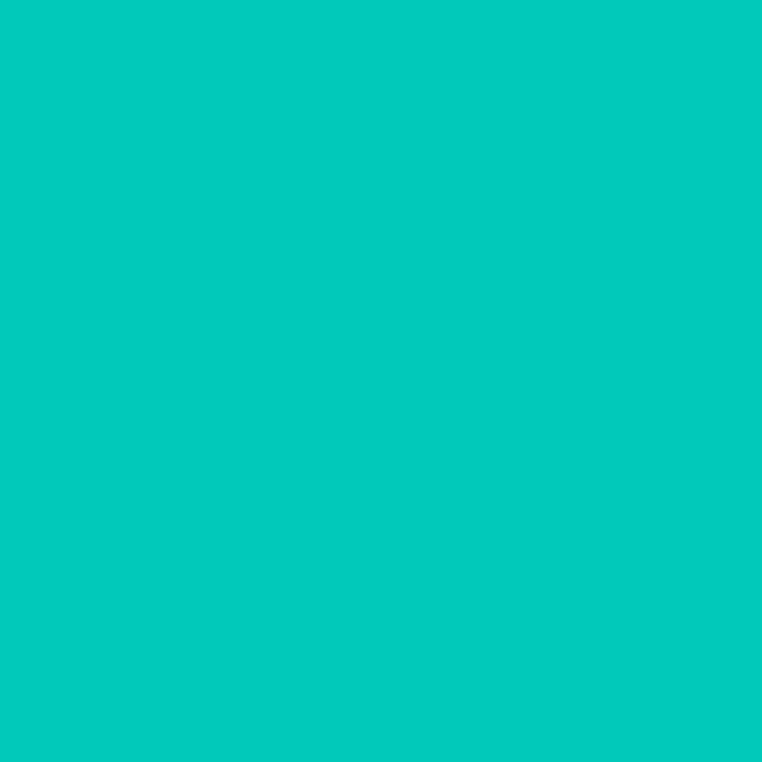 LEE Filters 116 Medium Blue-Green Lighting Gel Filter Sheet, 21"x 24"