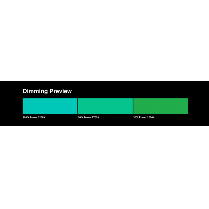 LEE Filters 116 Medium Blue-Green Lighting Gel Filter Sheet, 21"x 24"