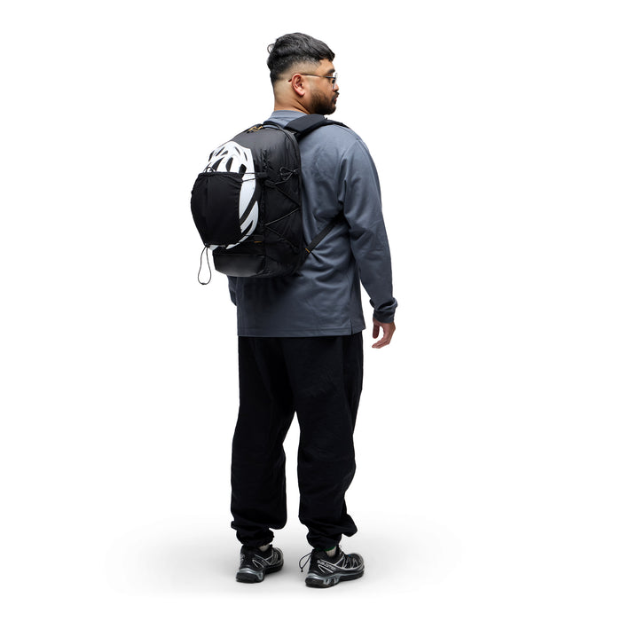 Peak Design Helmet Carry