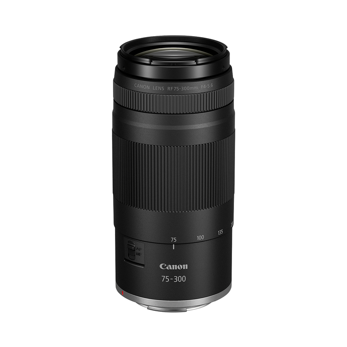 Canon EOS R100 Mirrorless Camera with Double Zoom Lens Kit
