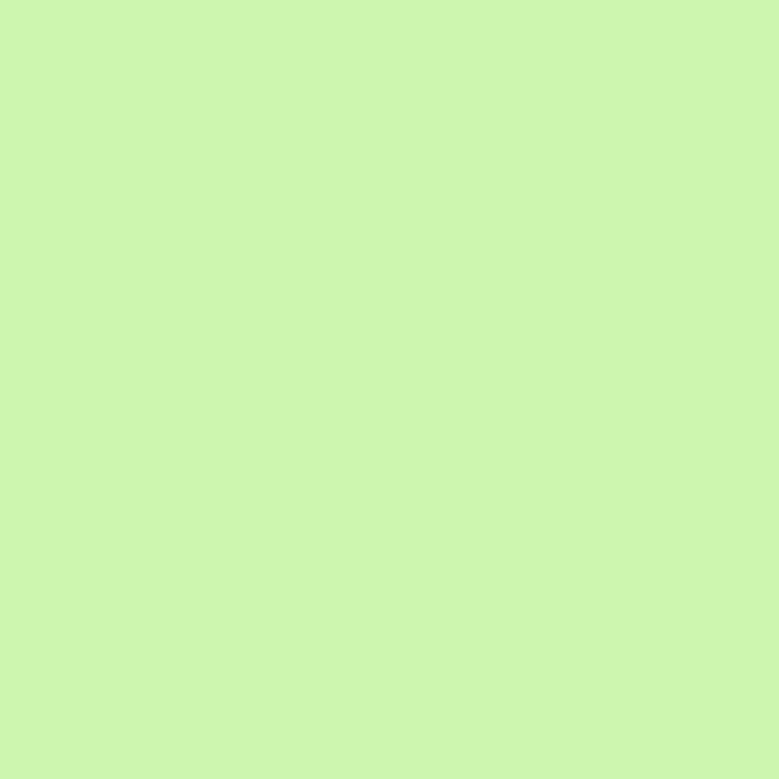 LEE Filters 243 Fluorescent 3600 Kelvin Lighting Filter Sheet, 21"x 24"