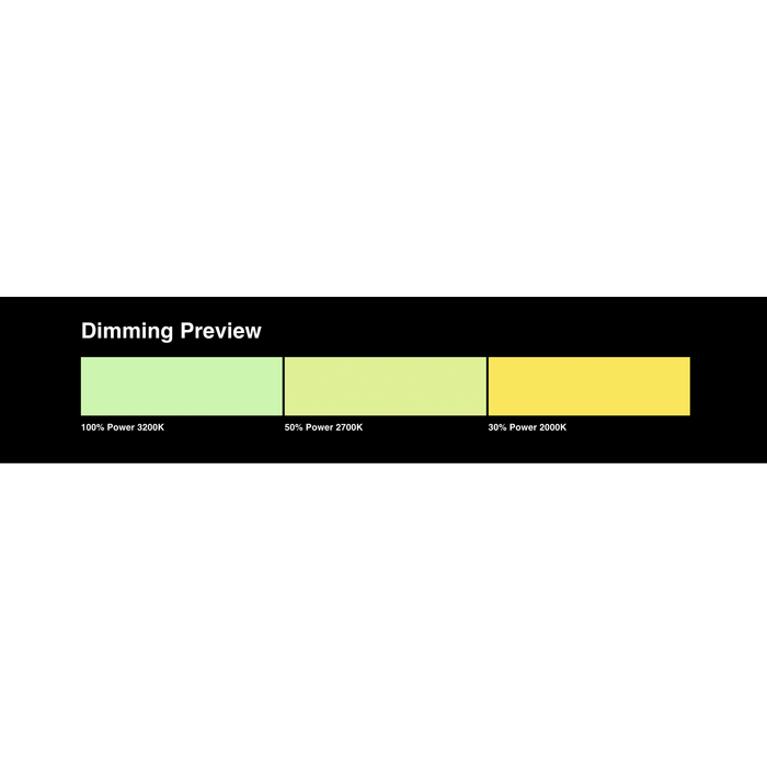 LEE Filters 243 Fluorescent 3600 Kelvin Lighting Filter Sheet, 21"x 24"