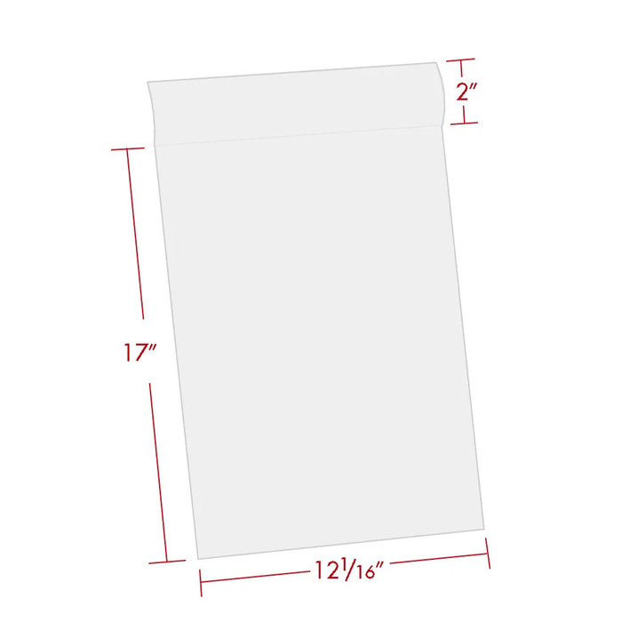 Print File 11.7×17-BAG Polyethylene Storage Bag with 2″ Flap, 11 × 17" - 25 Pack