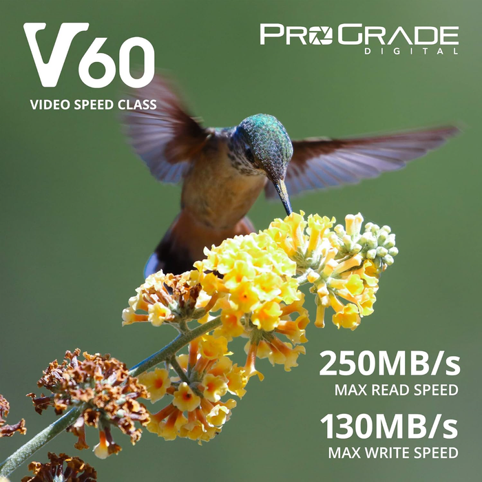 ProGrade Digital 256GB UHS-II SDXC V60 250R Gold Memory Card