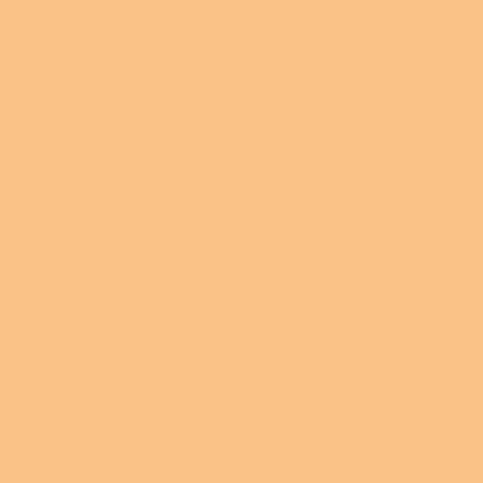 LEE Filters 204 Full Color Temperature Orange Lighting Filter Roll, 48" x 25'