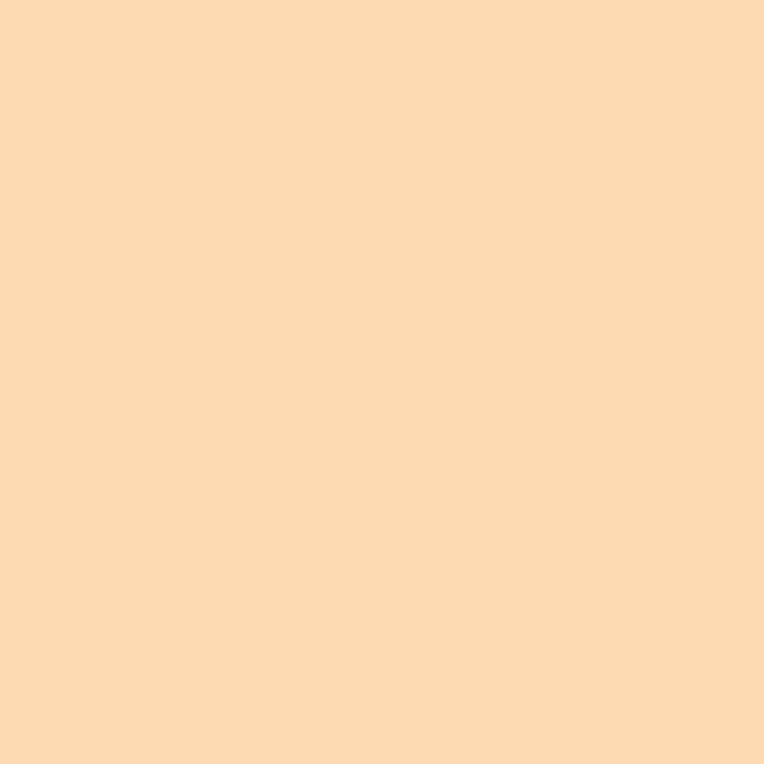 LEE Filters 205 Half Color Temperature Orange Lighting Filter Roll, 48" x 25'