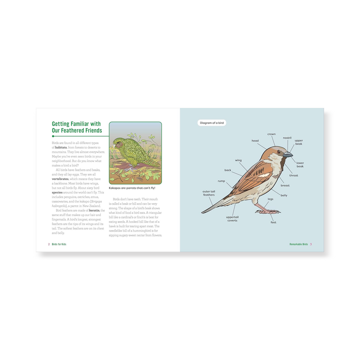 Birds for Kids: A Junior Scientist's Guide to Owls, Eagles, Penguins, and Other Bird Species