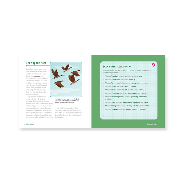 Birds for Kids: A Junior Scientist's Guide to Owls, Eagles, Penguins, and Other Bird Species
