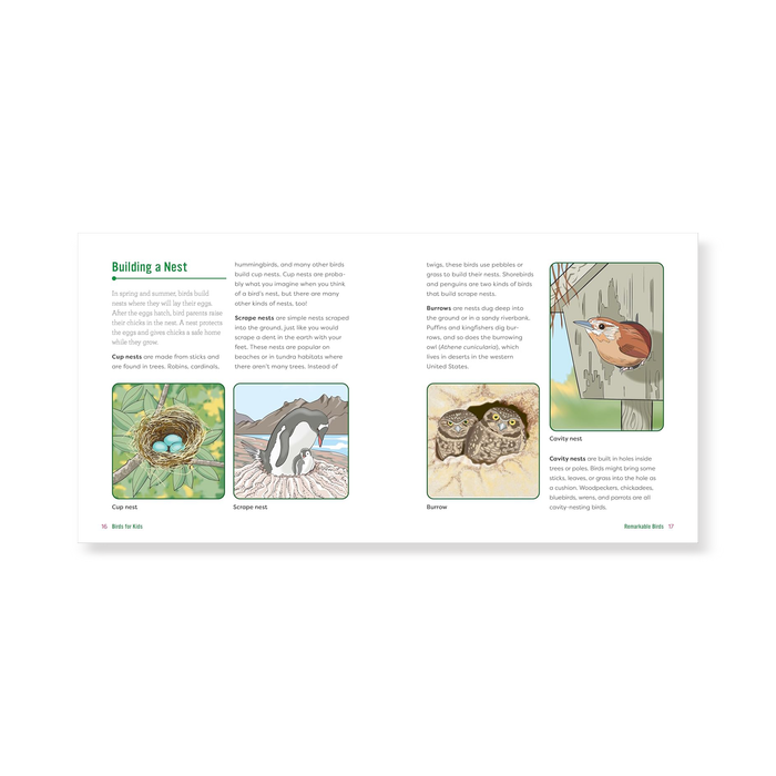 Birds for Kids: A Junior Scientist's Guide to Owls, Eagles, Penguins, and Other Bird Species