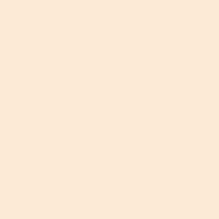 LEE Filters 206 Quarter Color Temperature Orange Lighting Filter Roll, 48" x 1' (Sold by the foot)