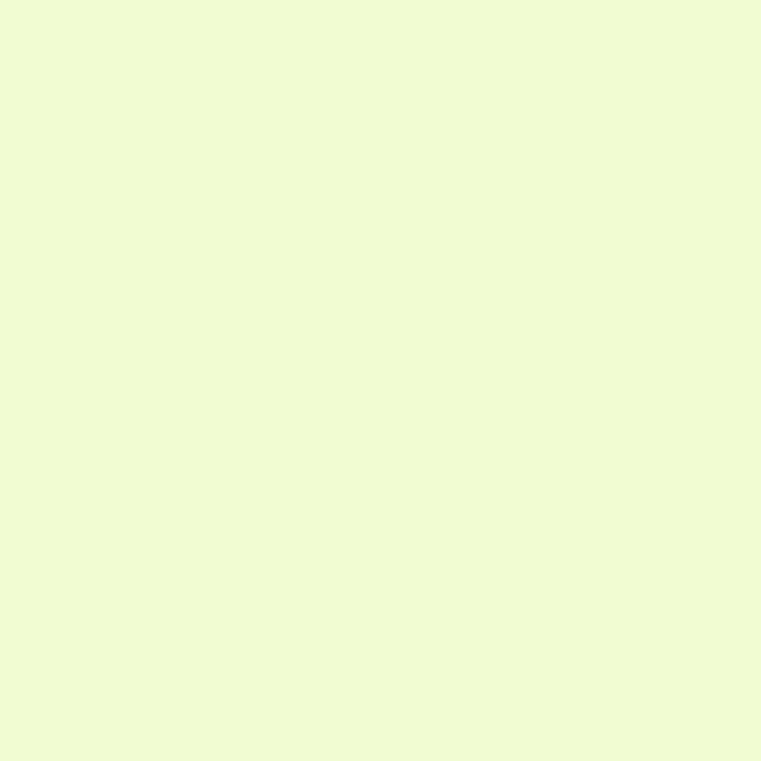LEE Filters 245 Half Plus Green Lighting Filter Roll, 48" x 25'