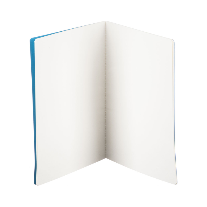 Hahnemühle Sketch & Note Booklet Bundle, A6, 20 Sheets (40 Pages) - Delphinium/Menthe (Blue Bundle)