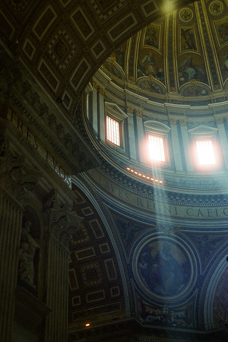 Candido 800 Color Negative - 35mm Film, 36 Exposures, Single Roll