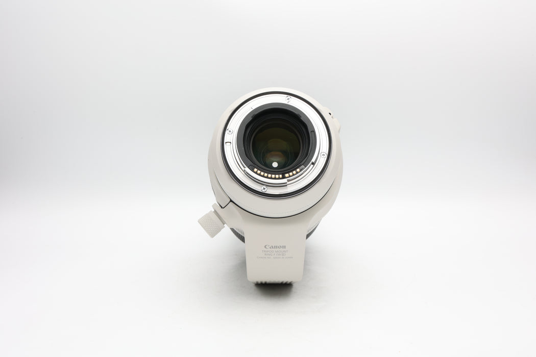 Used Canon RF 100-500mm L IS (EX)