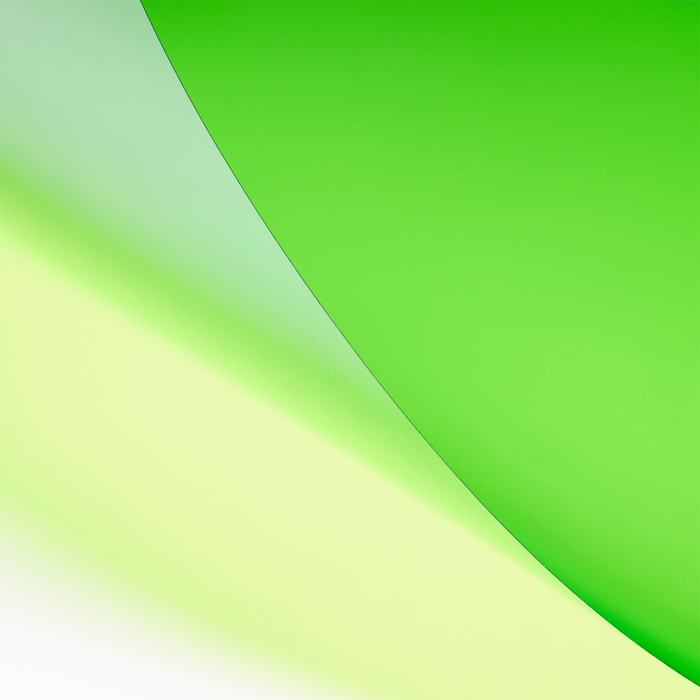 LEE Filters 505 Sally Green Lighting Gel Filter Sheet, 21"x 24"