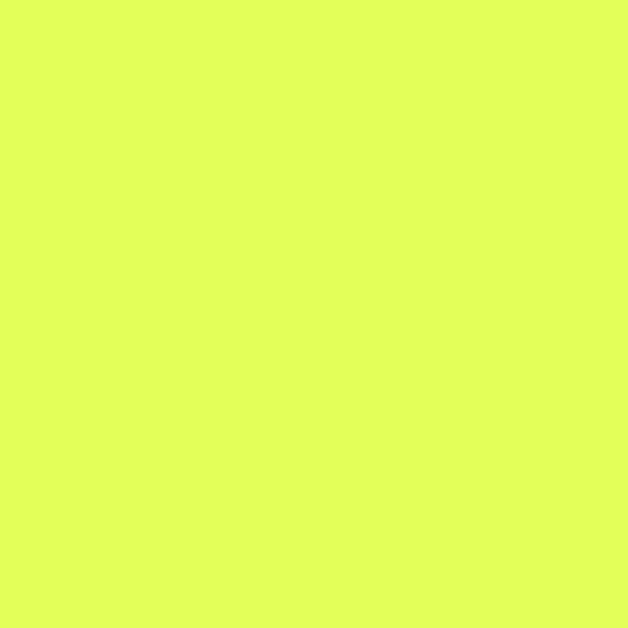 LEE Filters 505 Sally Green Lighting Gel Filter Sheet, 21"x 24"