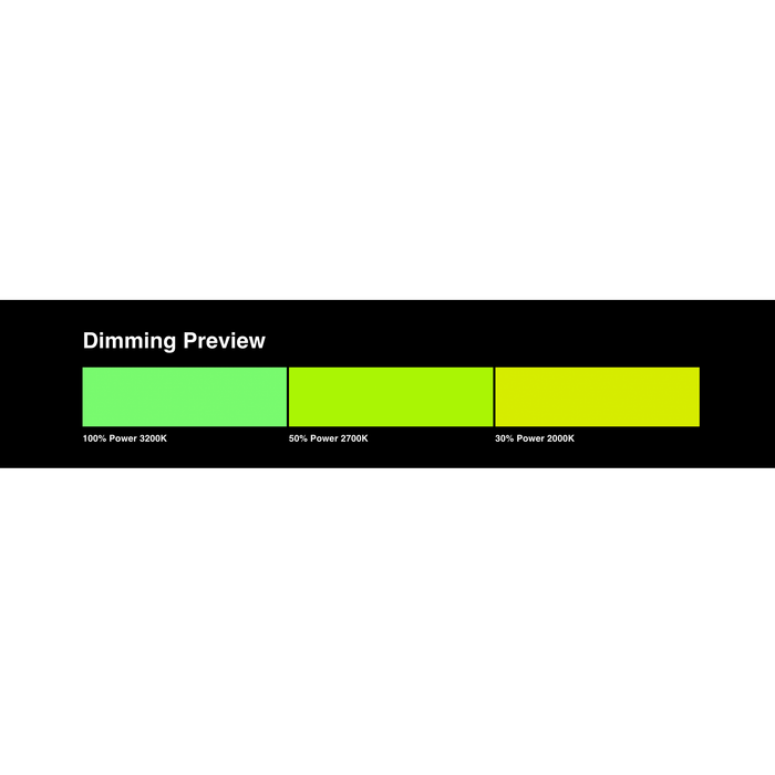 LEE Filters 122 Fern Green Lighting Gel Filter Sheet, 21"x 24"