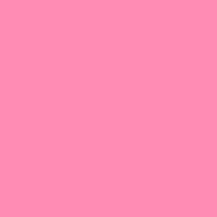 LEE Filters 192 Flesh Pink Lighting Gel Filter Sheet, 21"x 24"