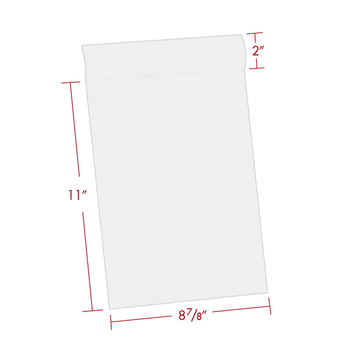 Print File 8.5×11-BAG Polyethylene Storage Bag with 2″ Flap, 8.5 × 11" - 100 Pack