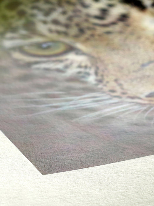 Hahnemühle Sample Pack Natural Line FineArt Inkjet Paper, 8" x 11" - 4 Qualities / 8 Sheets