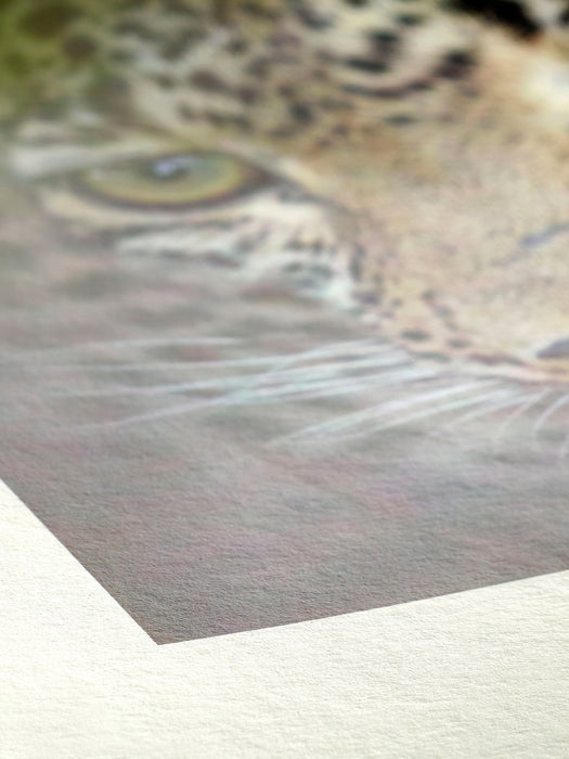 Hahnemühle Bamboo Natural Line FineArt Inkjet Paper 290, 13" x 19" - 25 Sheets